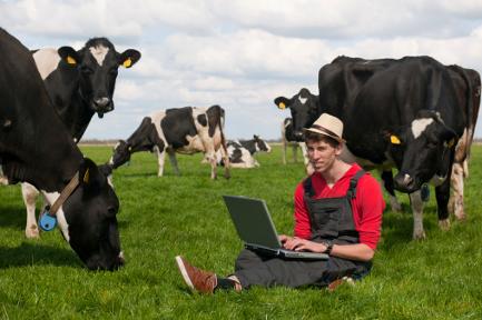 Farmer doing his Dairy Business Figures