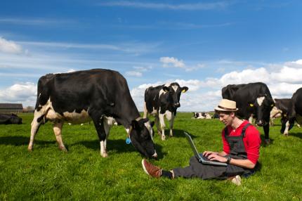 Dairy Farmer doing Figures