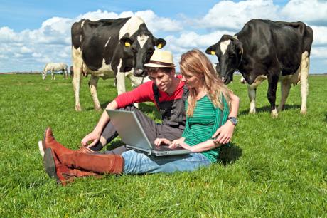 Young Dairys Farmers doing Dairy Business Figures